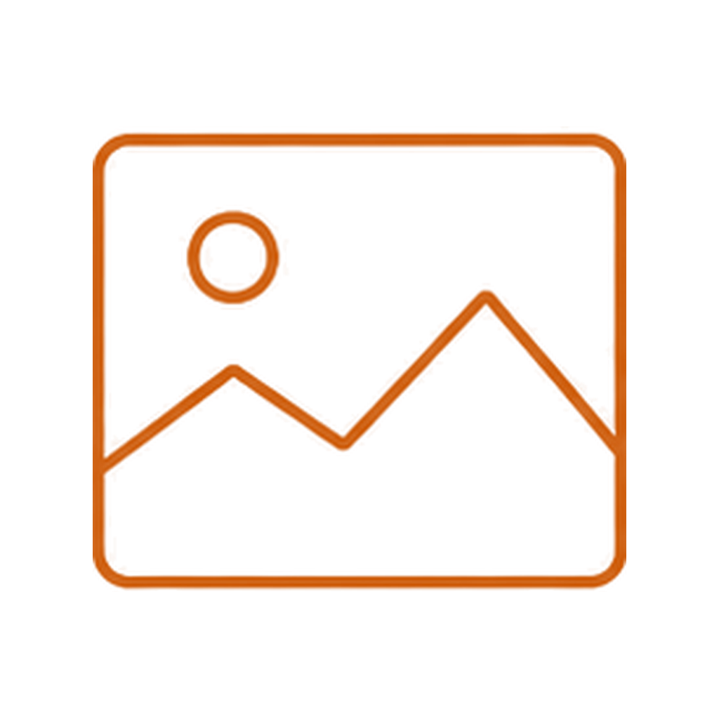 Burnt orange line icon of a picture frame, representing the visual interpretation of Anne Lister’s journal material.